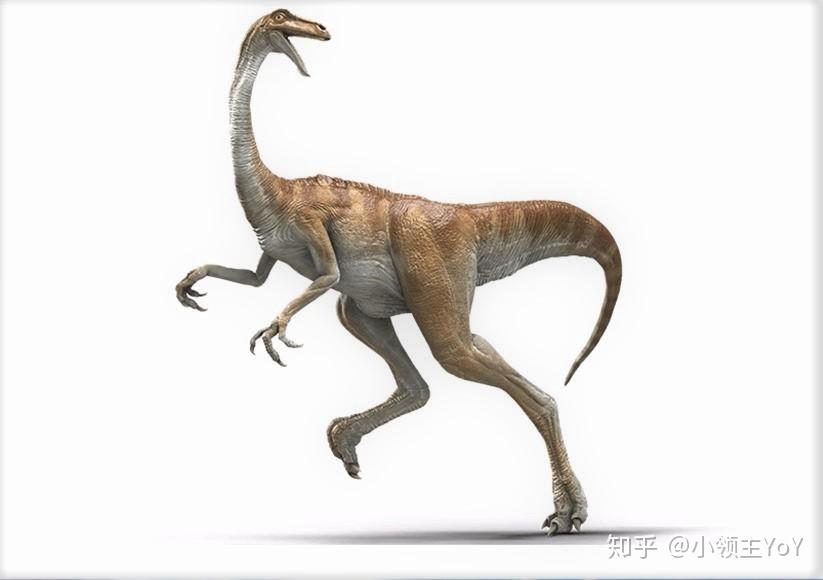 史前生物--科普-生物图鉴(1)