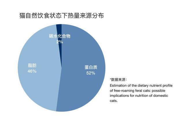 猫的营养需求 蛋白质和脂肪 知乎