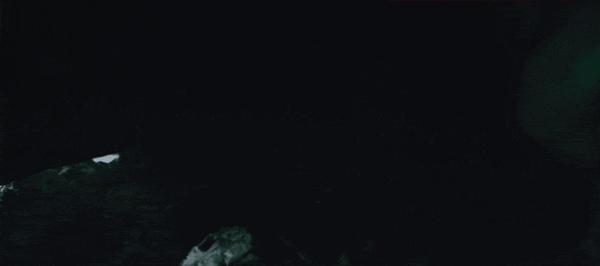 《冷猫狗》今年最颠覆！限制级禁忌挑战