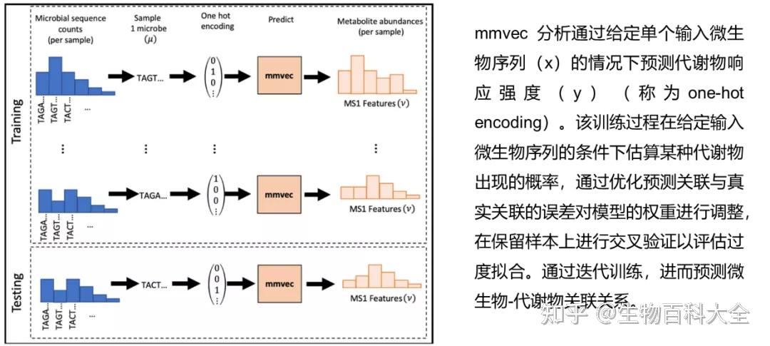 分析拓展 |微生物组与代谢组联合分析方法进阶——mmvec与MIMOSA 2 - 知乎
