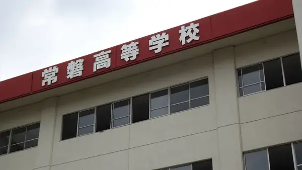 点击打开原图