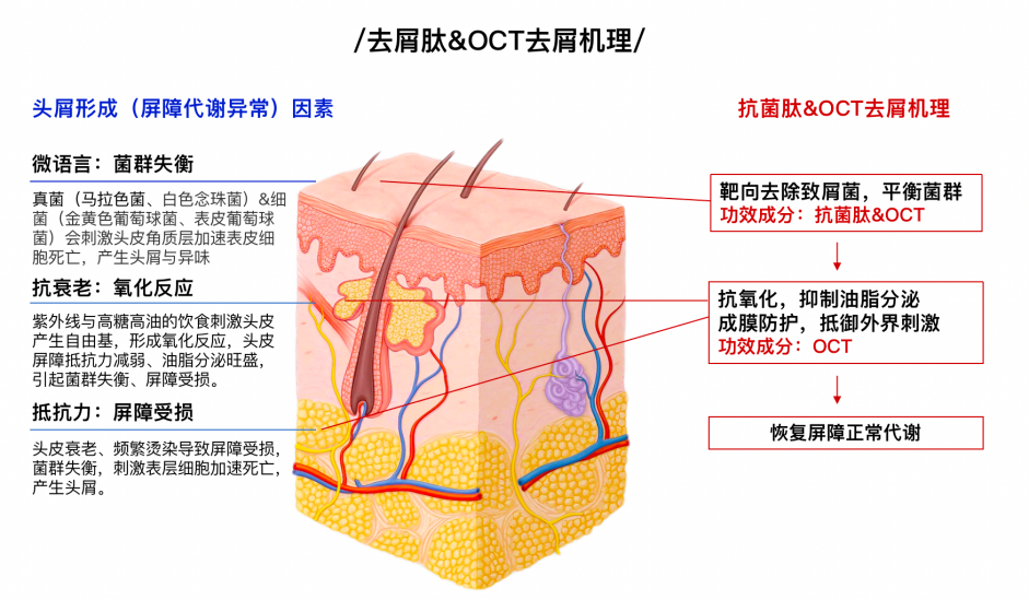 血脂怎么测最准确 v2-2432b498a276732a24bfaf22c4860145_r.jpg