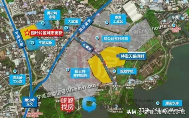 規劃17號線地鐵物業平湖鵝公嶺園嶺片區舊改