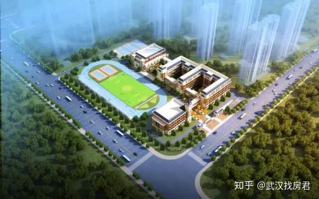 武汉总人口人口2021_武汉人口增长图(3)