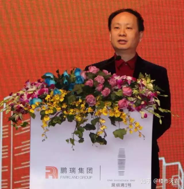 世间再无深圳湾1号