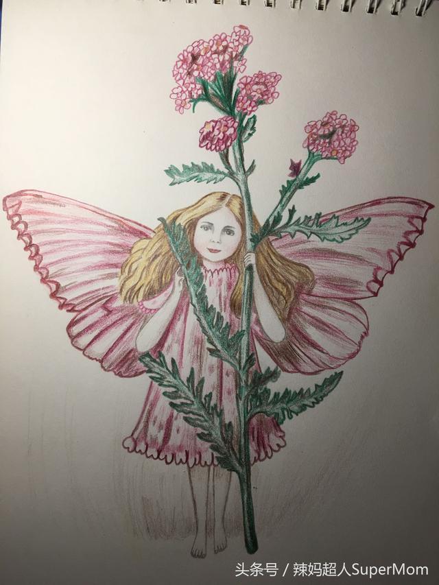 零基础彩铅画教程花仙子