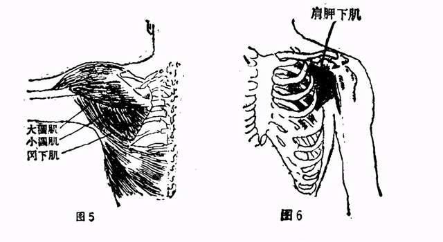 站樁呼吸法初學者如何練習的呼吸