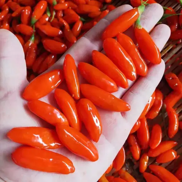 每逢佳节胖3斤,看德国人如何快速减肥 - 知乎 每逢佳节胖3斤,看德国人如何快速减肥 - 知乎