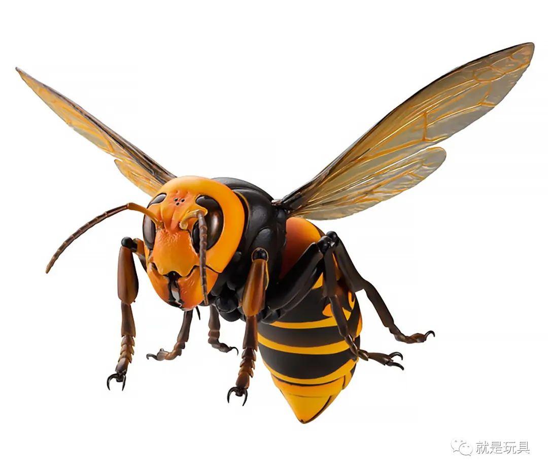 海洋堂"究极可动生物"!这才是大黄蜂的真.大哥