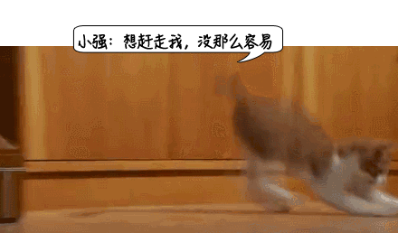 灭蟑螂 最靠谱的是这2招 知乎