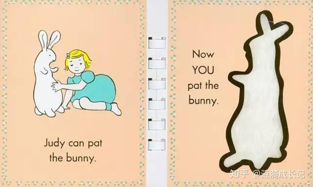 不可错过的英语启蒙绘本1patthebunny