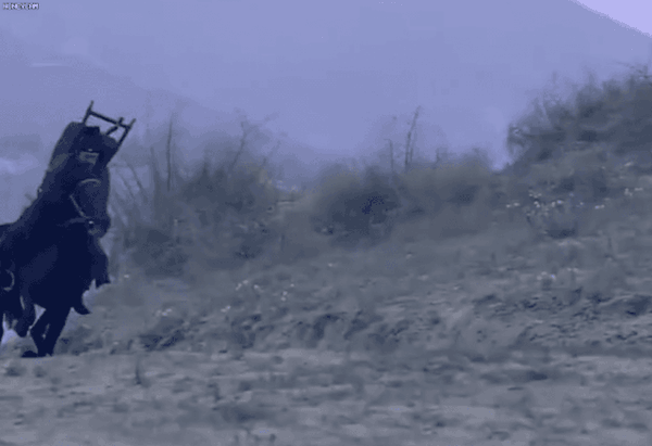 八百里加急比顺丰还快 谈谈古代驿站的高光时刻 知乎