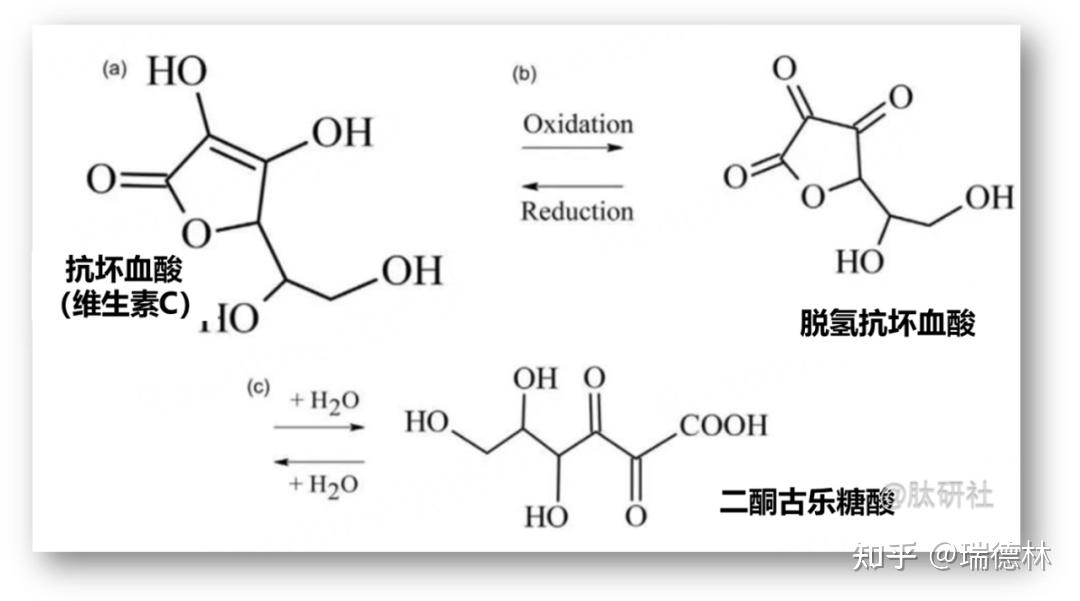 左旋抗坏血酸分子式图片