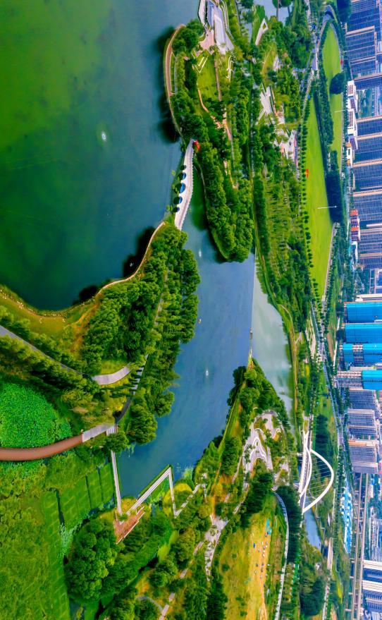 滨河国际新城：一年四季色彩斑斓