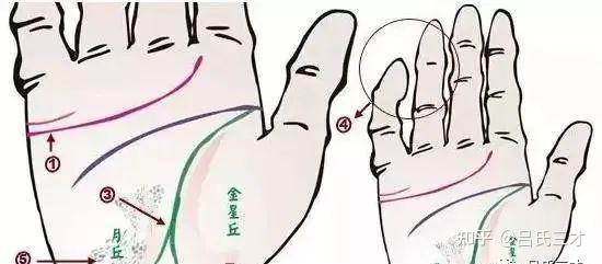 24种手诊图，揭示你的身心健康 - 知乎