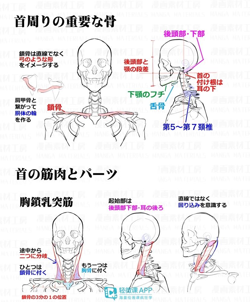 v2-249fe195acda51ff49e31ff6047ba0c1_r.jpg