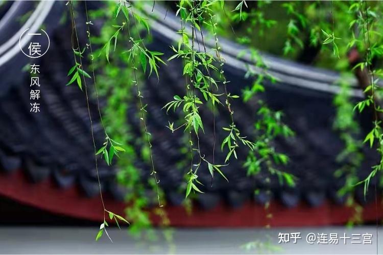 【24节气详解】立春-附养生精要 - 知乎