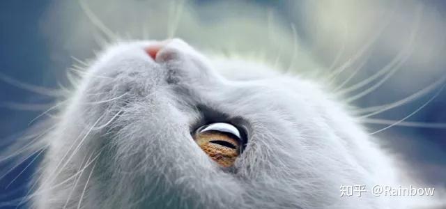 你可能从来没考虑过的之battementfondu