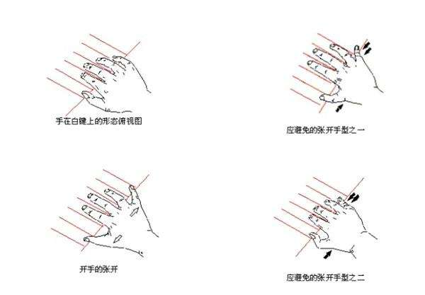 钢琴手型练习重要吗 v2-24c4fa9efdedb223da1826c7c911b495_r.jpg