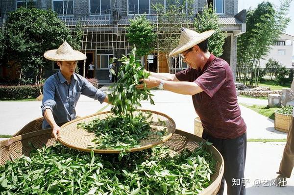 “中国传统制茶技艺及其相关习俗” 申遗成功 - 知乎