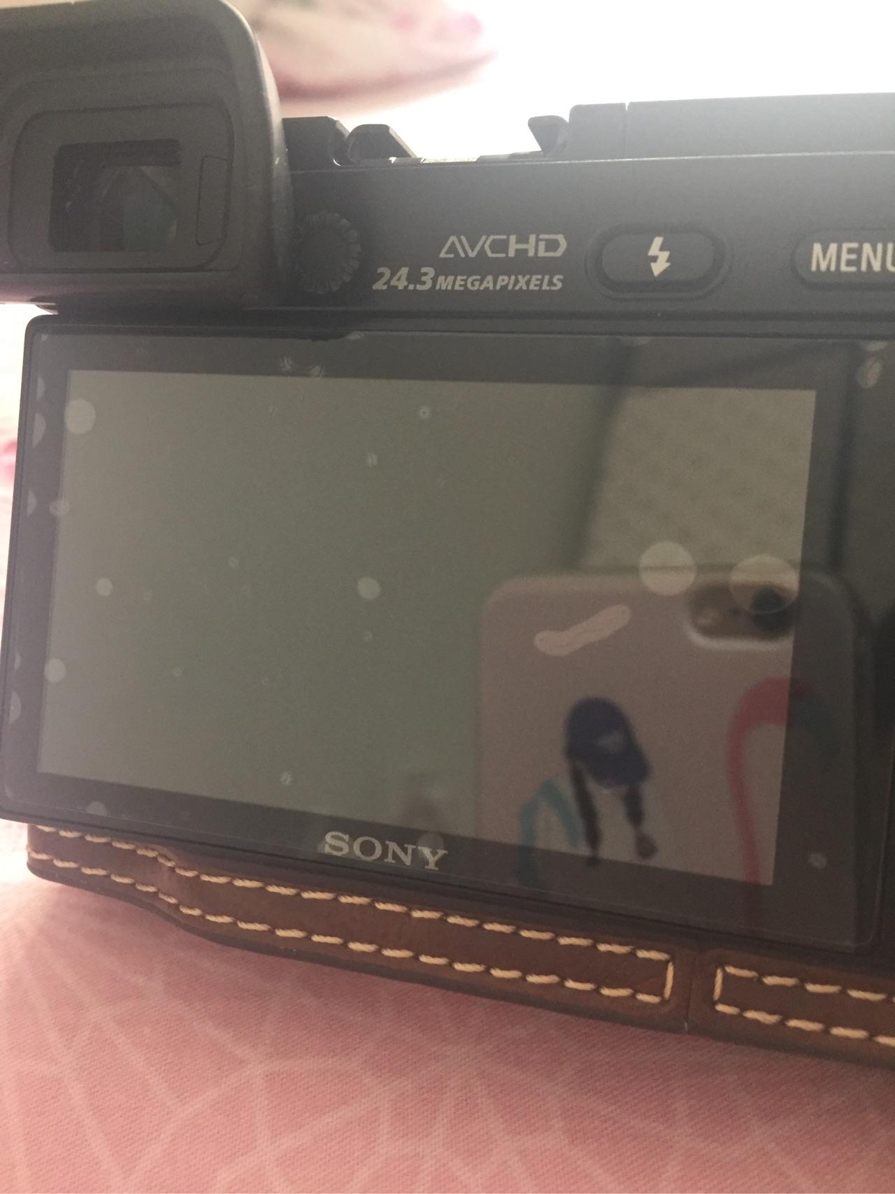 索尼 A6000 微单适合经常拍风景和人像的初学