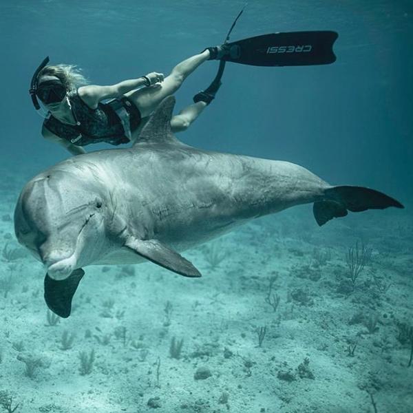关于日本 核污水和世界海豚日的一些看法 知乎