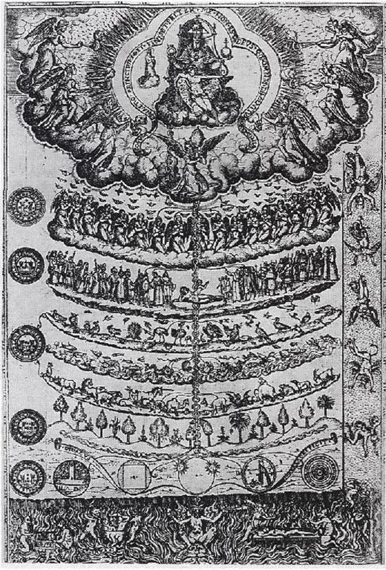 人类基因之谜一c值悖论
