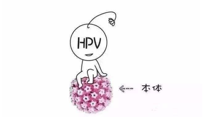 hpv病毒表现图片