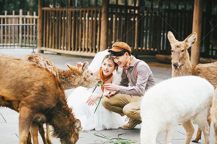 v2-24e782f87a623ca456898ef3102f1018_1440w.jpg?source=172ae18b