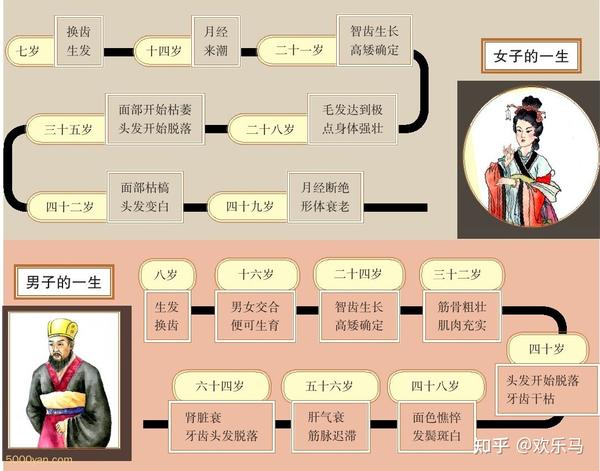 上古天真论篇 - 知乎