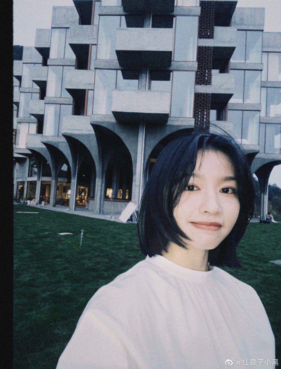 请给我房东的猫的高清无水印图好吗