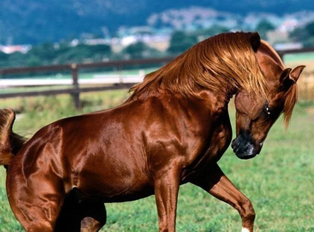 硬核魔幻现实主义地区了解一下?