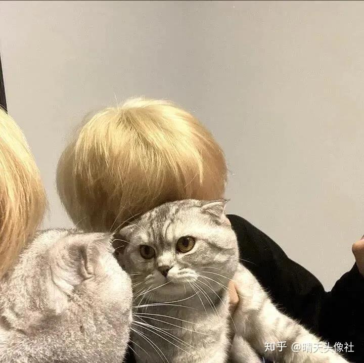 有哪些很耐看的猫系男生头像?