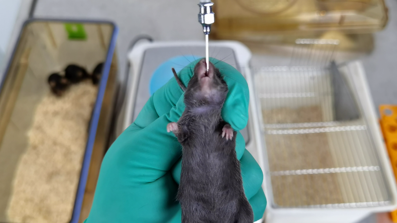 嘌呤有毒,真的! - 知乎