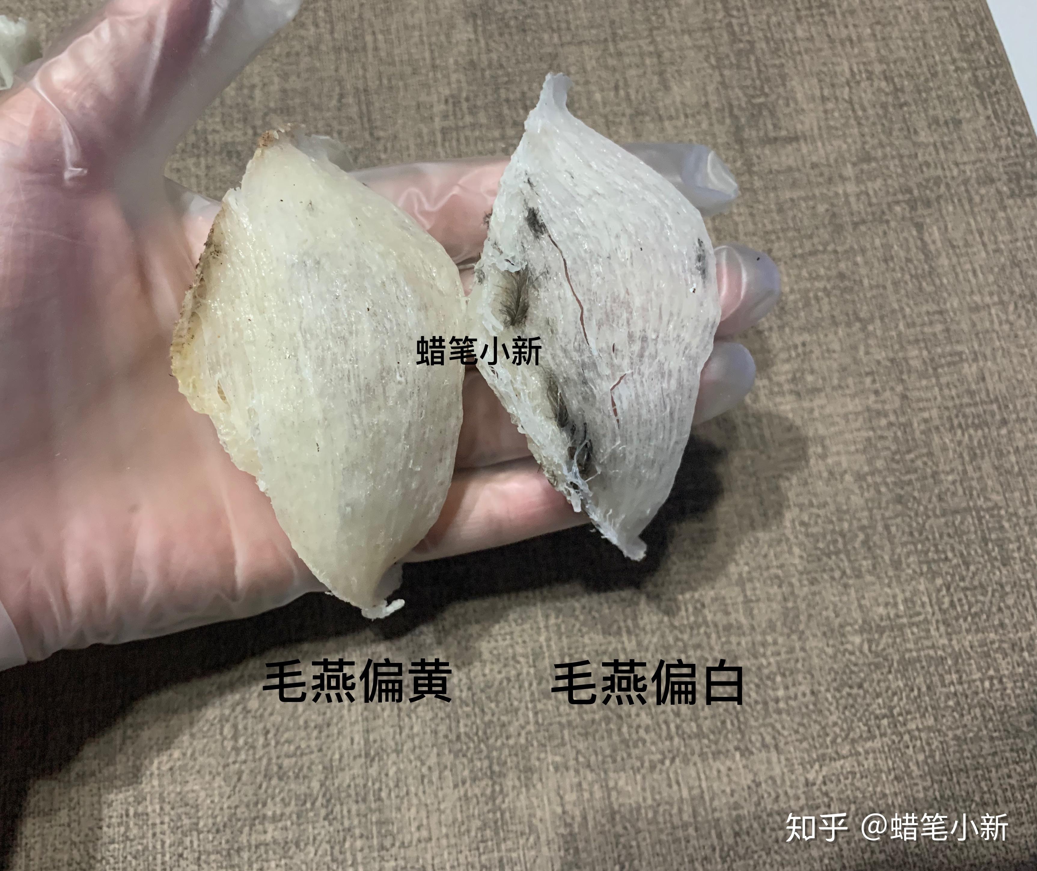 燕窝品牌排行榜、什么牌子燕窝最好？ - 知乎