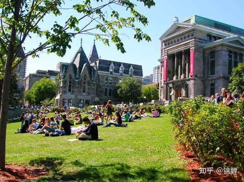 加拿大大学排名_加拿大排名前十大学_加拿大大学排名前50加拿大