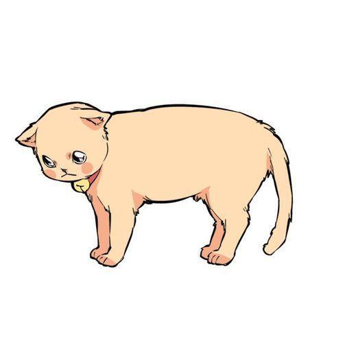 猫咪和尾巴的爱恨情仇