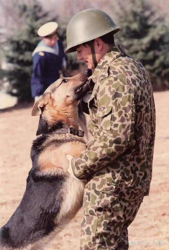 加勒万河谷的中国军犬,抒写四足战友新高度