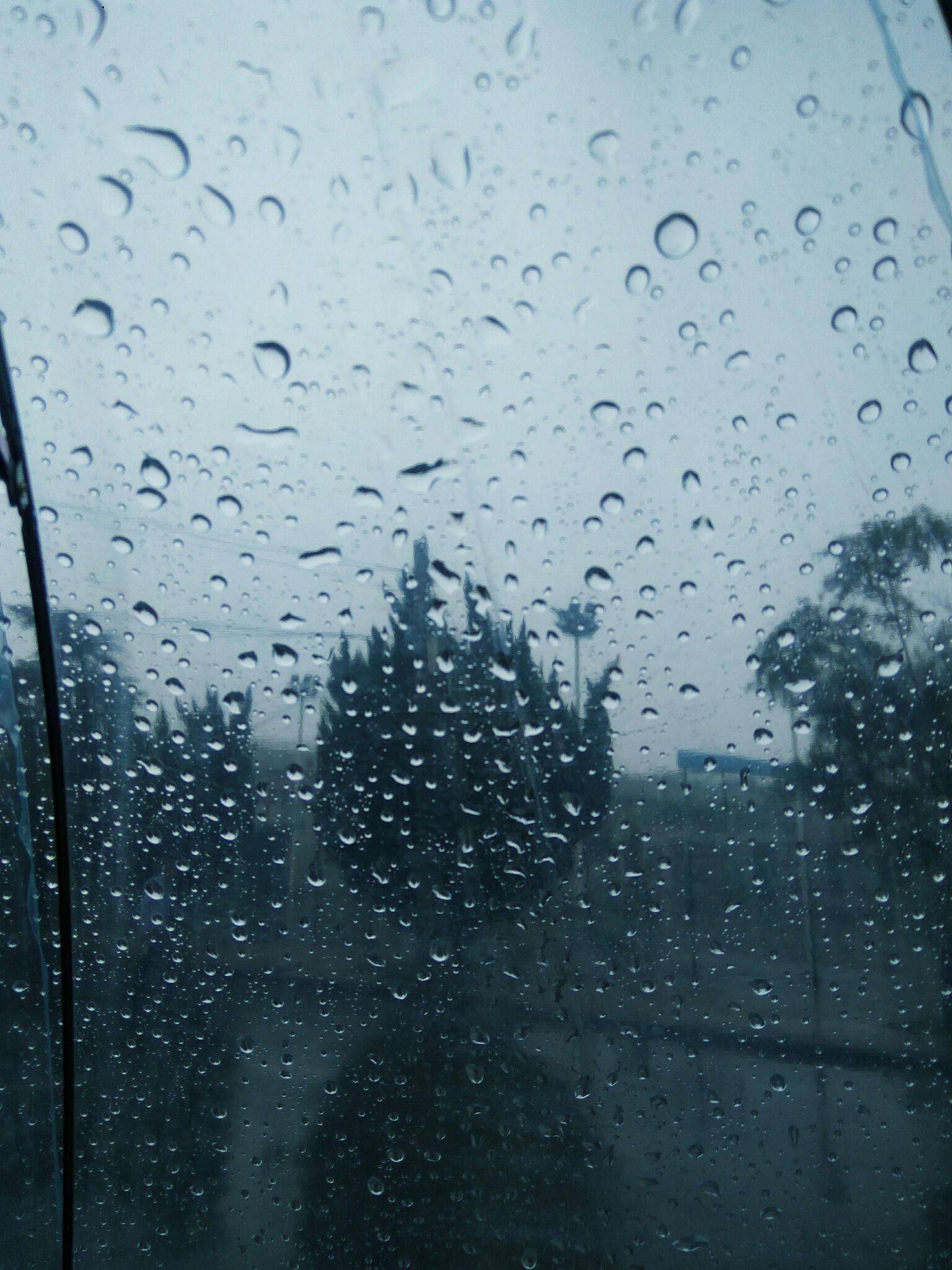 雨天照片 真实点的图片