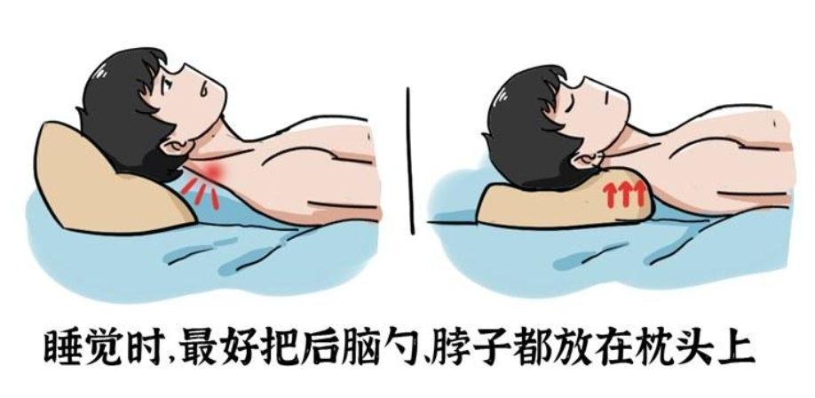 21年枕头推荐 记忆枕头 乳胶枕头 羽绒枕头 荞麦枕头哪个好 选择合适枕头 保护好颈椎 6月更新 知乎 21年枕头推荐 记忆枕头 乳胶枕头 羽绒枕头 荞麦枕头哪个好 选择合适枕头 保护好颈椎 6月更新 知乎