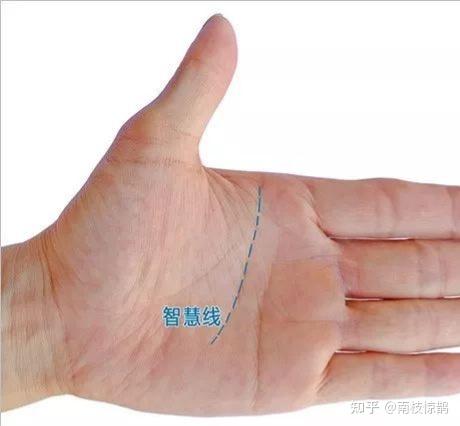 手相图解大全教你手相看运程！(荐读) - 知乎