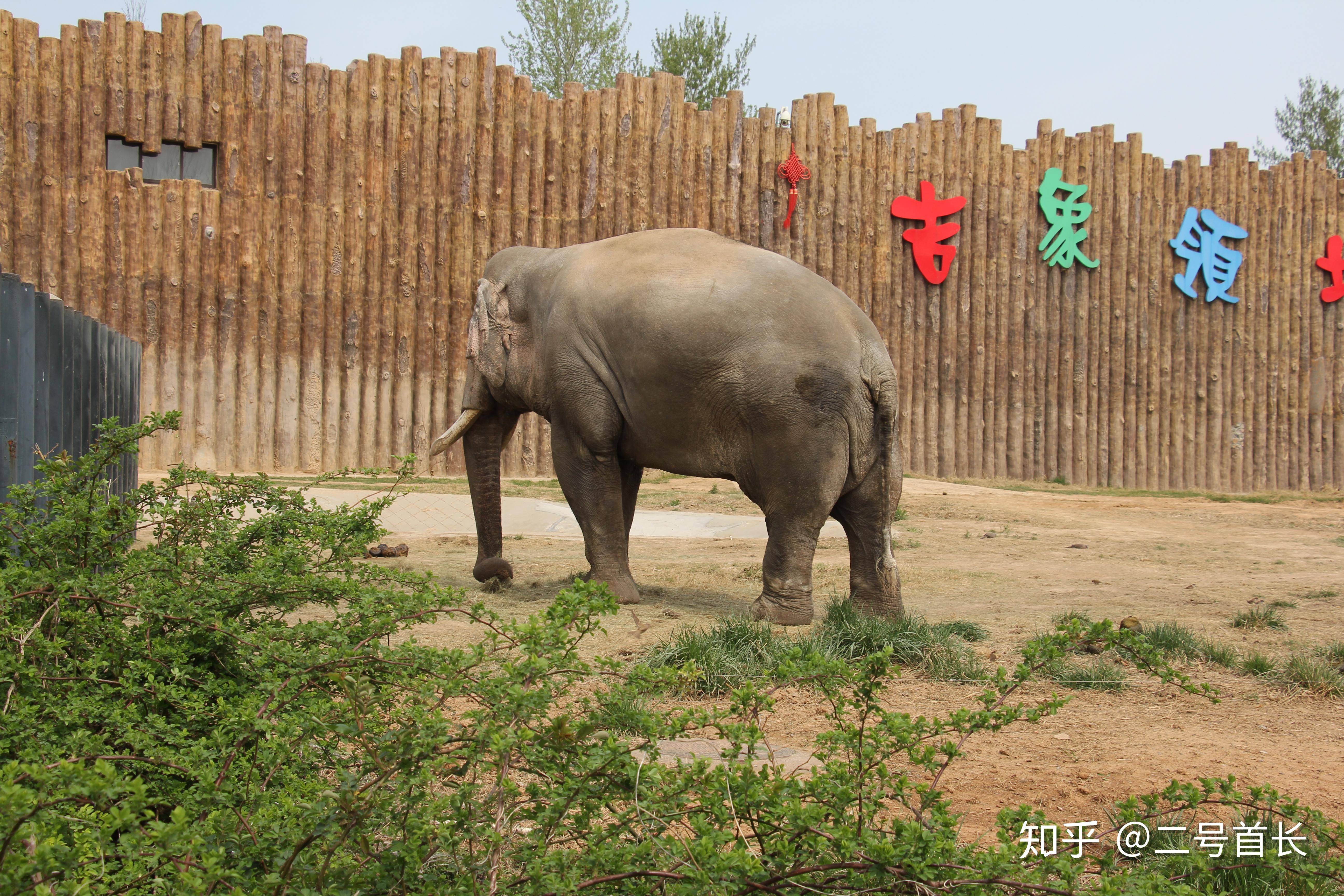 走進濟南野生動物園感受人與自然的親密接觸