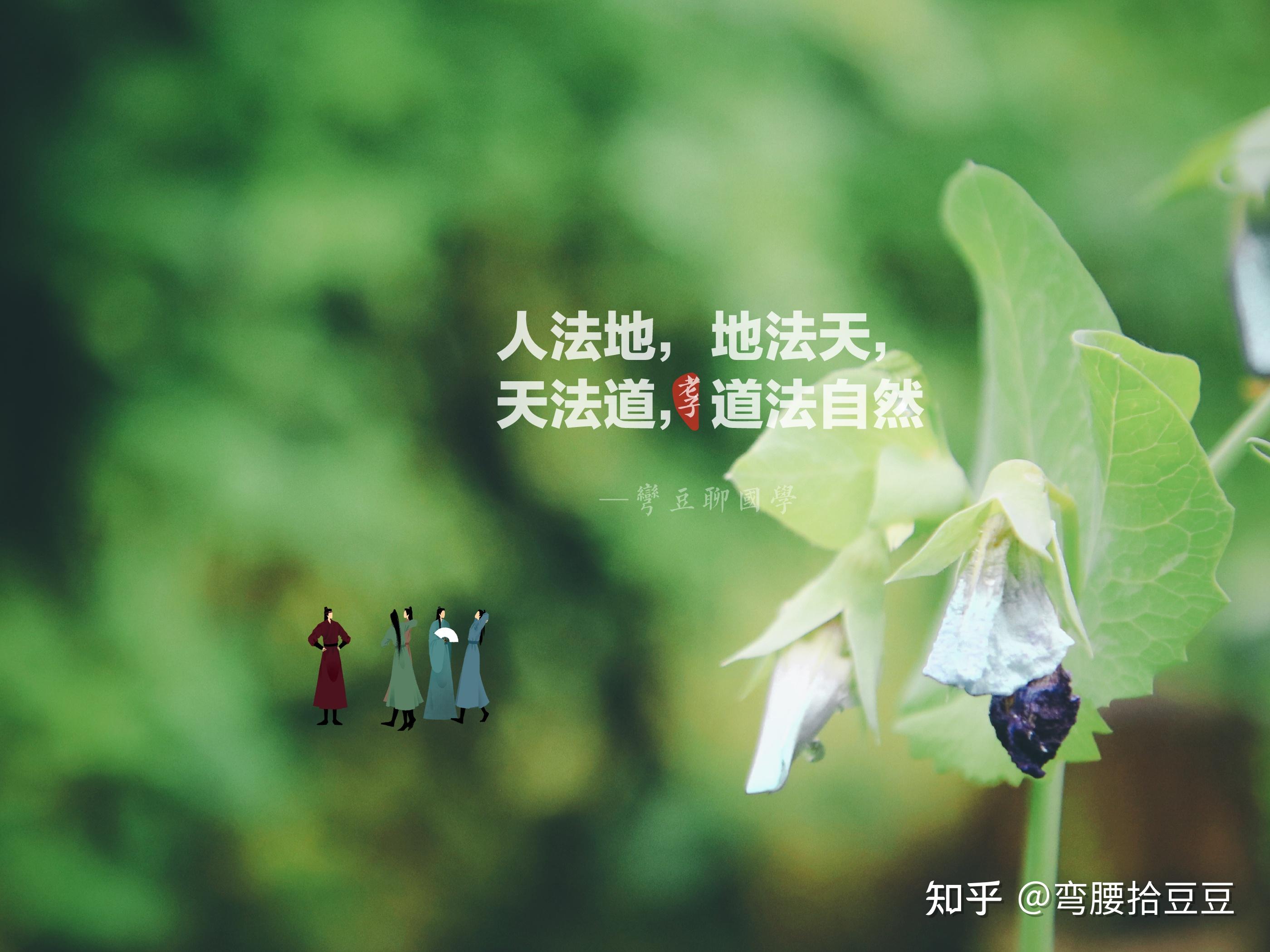 新编道德经解析第六章附七律一首天地生育万物也惩戒万物