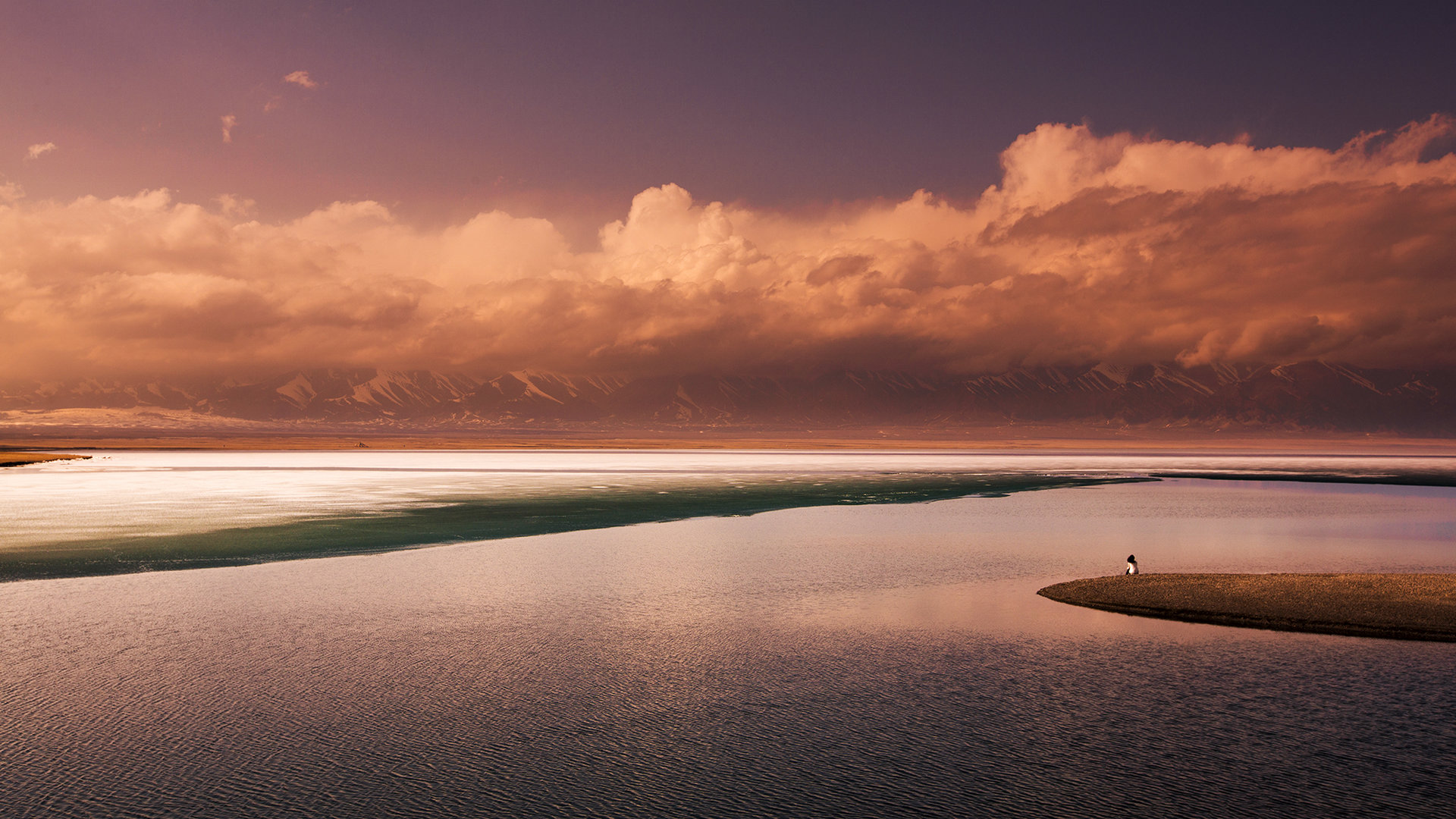 长春大学成考专科