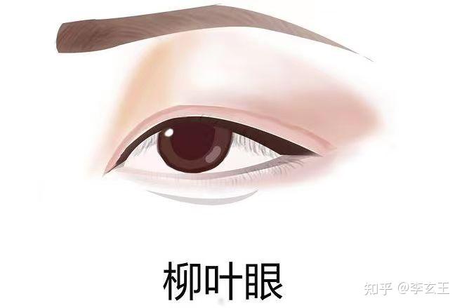常见眼型解析，你了解自己的眼型吗？ - 知乎