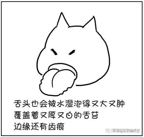 v2-25d0956eb4017e2c0d9e6c91075bc475_r.jpg