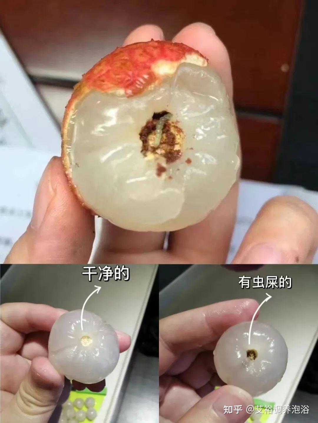 荔枝病专挑儿童下手这2点家长要注意