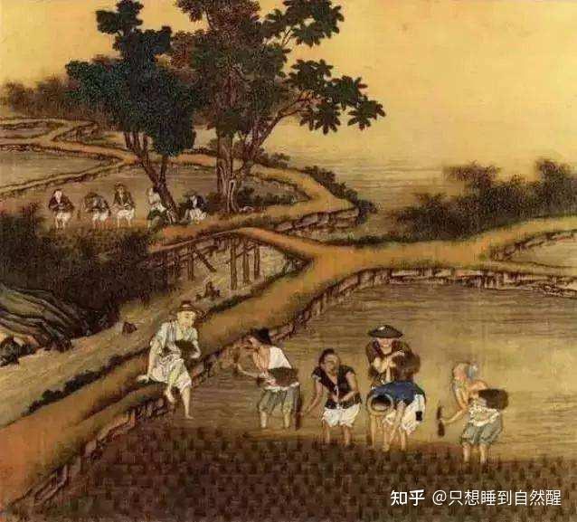 中国史必知之粮食之祖:稻谷和粟的种植和推广 - 知乎