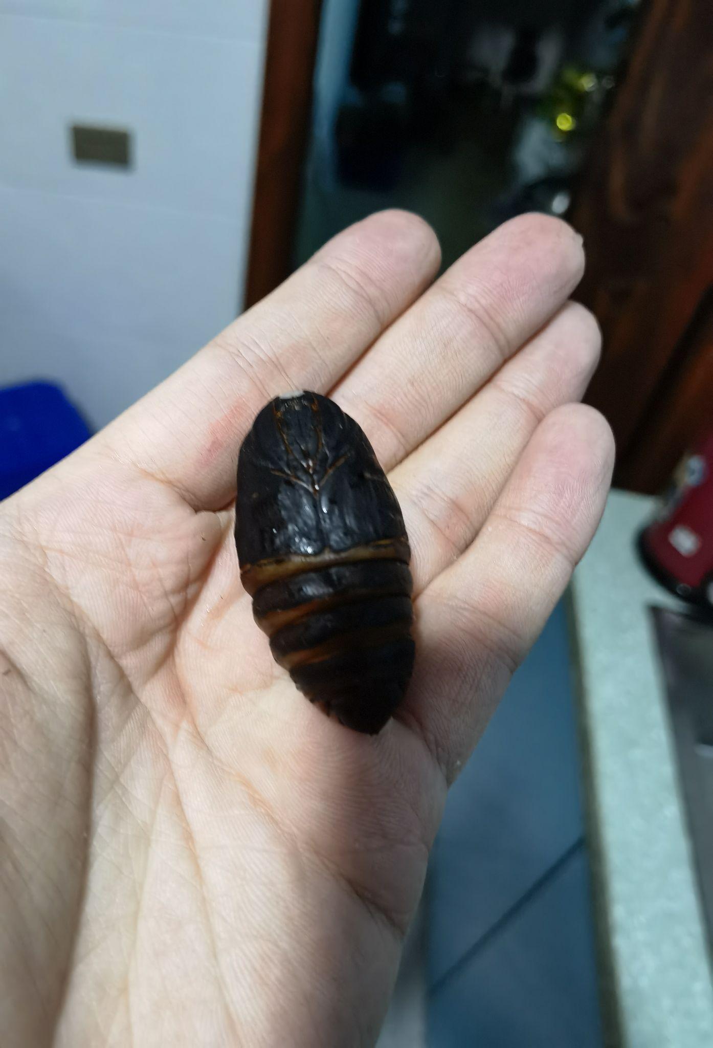 东北的乡村生活多图预警