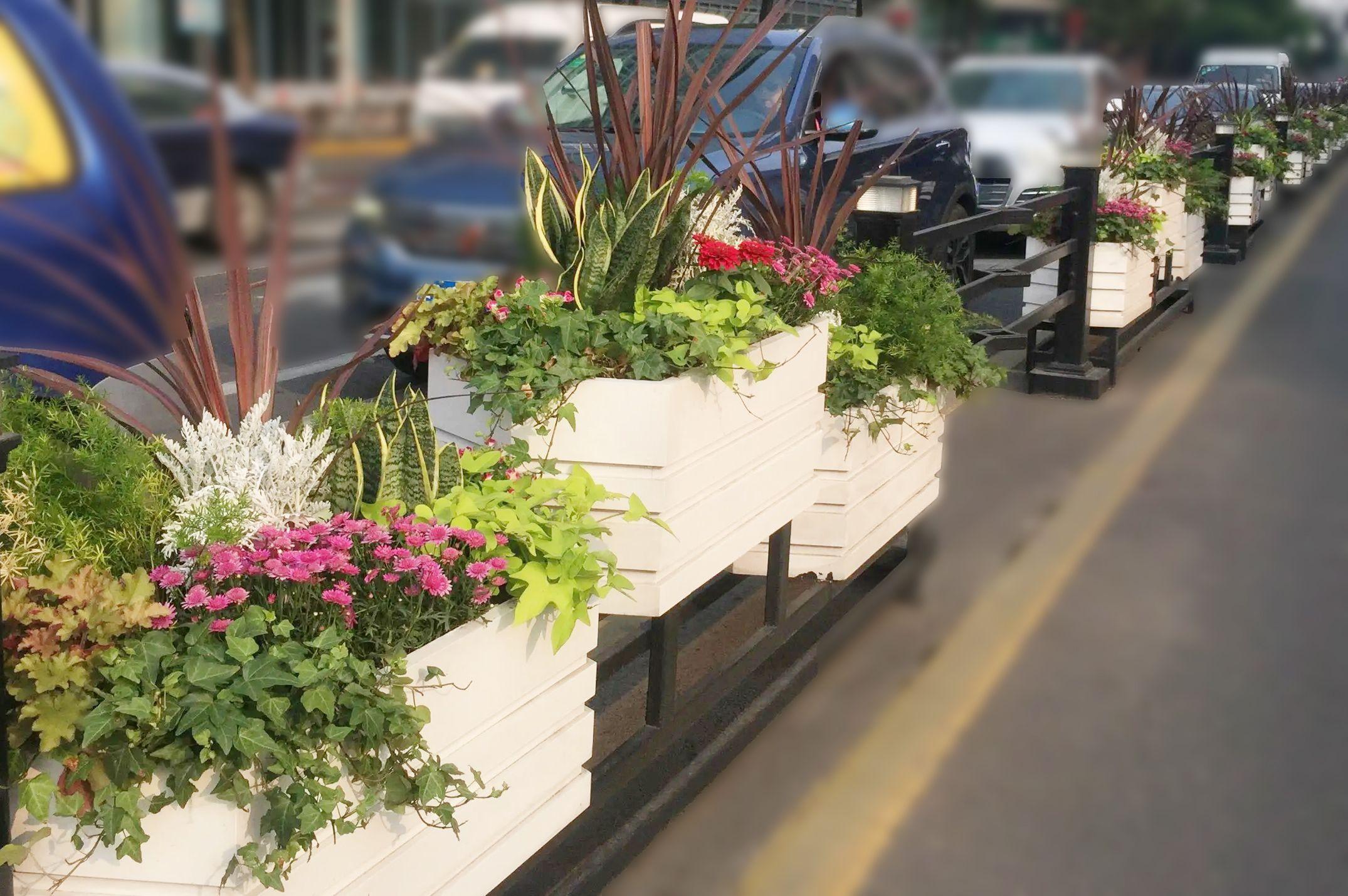 是最能体现出一个城市特色;不同造型不同颜色的花箱和绿色植物的融合